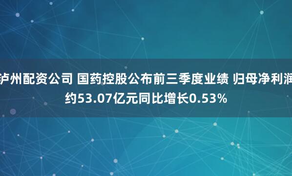 泸州配资公司 国药控股公布前三季度业绩 归母净利润约53.07亿元同比增长0.53%
