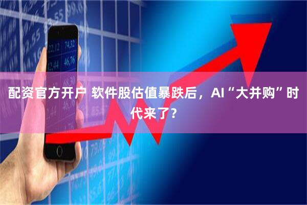 配资官方开户 软件股估值暴跌后,AI“大并购”时代来了?