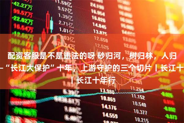 配资客服是不是违法的呀 砂归河，树归林，人归岸——“长江大保护”十年，上游守护的三个切片丨长江十年行